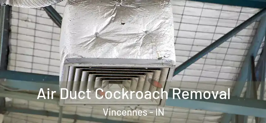  Air Duct Cockroach Removal Vincennes - IN