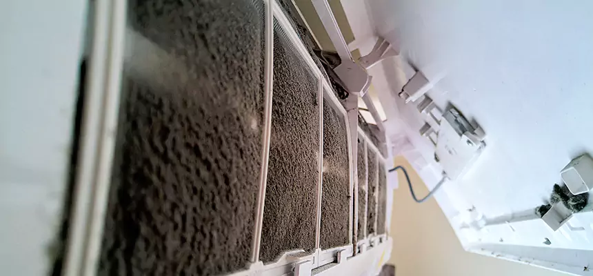 Preventive Air Duct Bacteria Removal in Vincennes