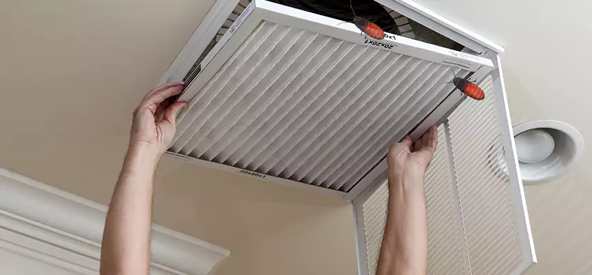 Preventive Cockroach-Proofing for Ducts in Vincennes