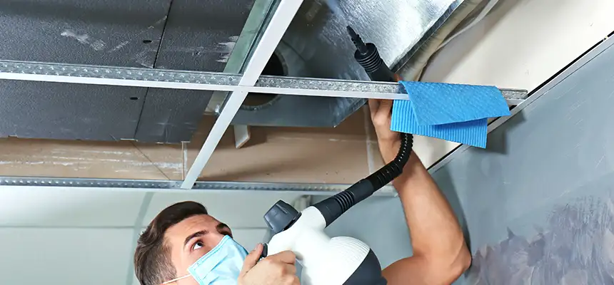 Our Air Duct Rodent Removal Services in Vincennes, IN