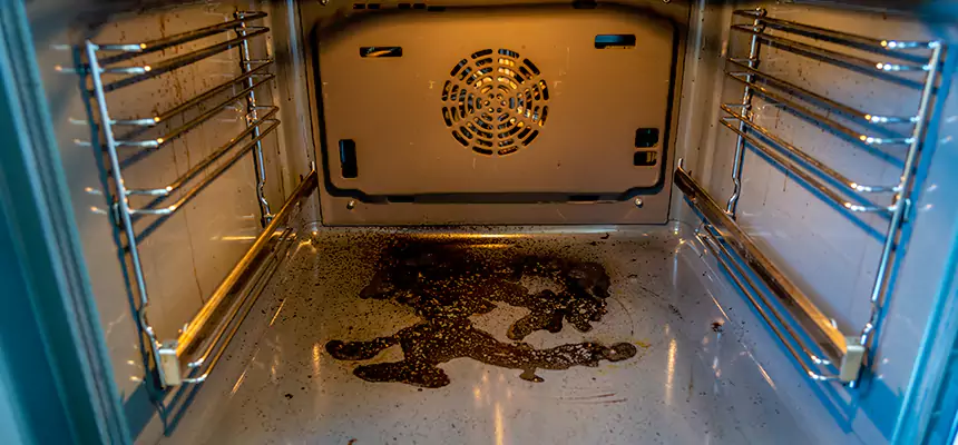 Our Dryer Vent Mold Cleaning Services in Vincennes, IN