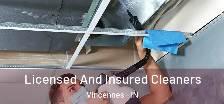  Licensed And Insured Cleaners Vincennes - IN