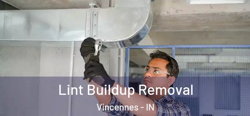  Lint Buildup Removal Vincennes - IN