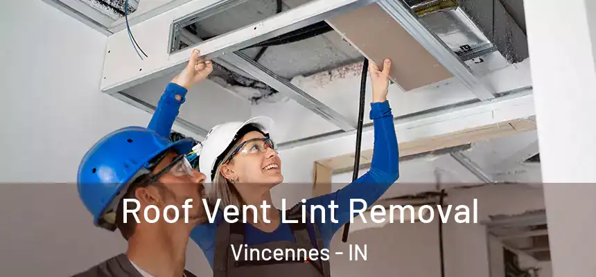  Roof Vent Lint Removal Vincennes - IN