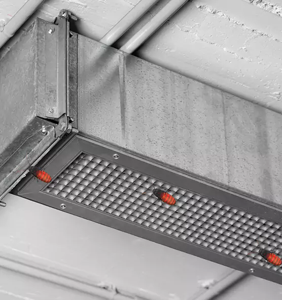 About Air Duct Cockroach Removal in Vincennes, IN