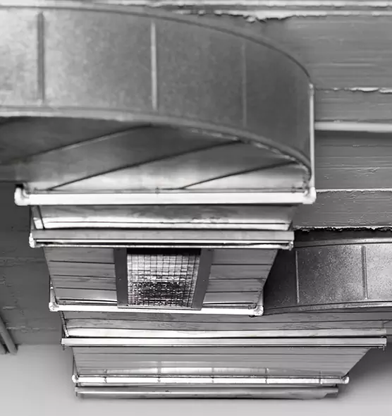 Professional Air Duct Pest Removal in Vincennes, IN