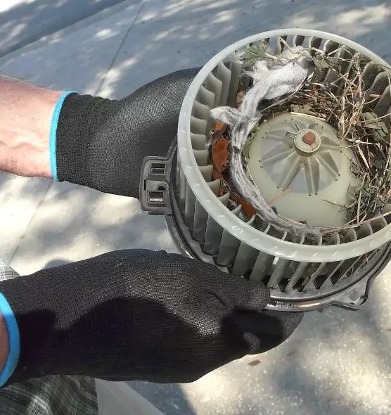 About Air Duct Rat Removal in Vincennes, IN