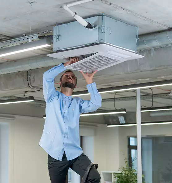 Advanced Rodent Droppings In Vents in Vincennes, IN