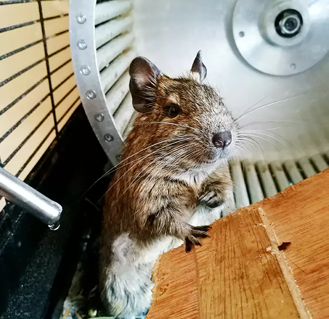 Why Homeowners & Businesses Trust Us Vincennes, IN